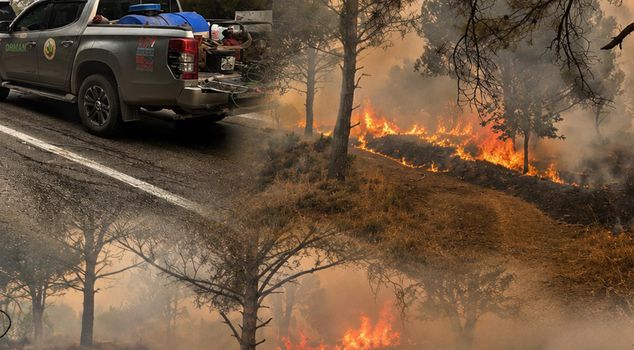 Forest fires continue in 5 regions! The Ayvalık Bergama road has been closed to traffic.