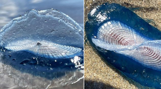 Mysterious sight off the coast of England! Those who saw it couldn't understand what it was.