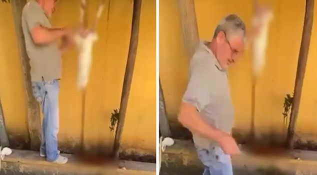 The suspect, whose images of cutting a rabbit in the schoolyard were shared on social media, has been detained.