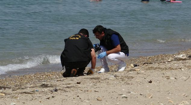 A citizen entering the sea found military ordnance left over from the war.