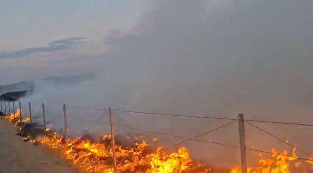 Поджог на раскопках Гордиона: подозреваемый в состоянии алкогольного опьянения арестован