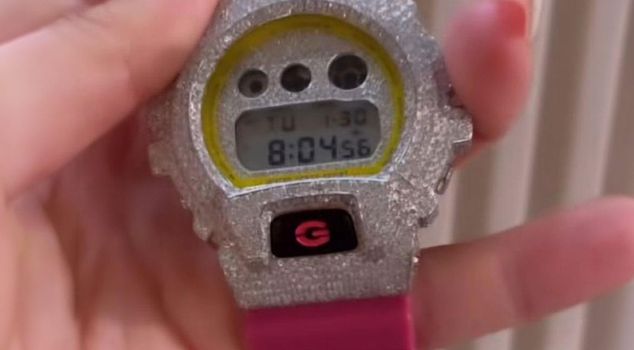 Come on, give me a break! This watch is literally worth a fortune.
