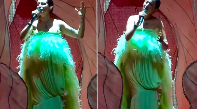From the famous singer to baby stages on stage: My son, my last concert in my belly