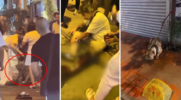 The streets of Beyoğlu were bloodied! A pitbull attacked, its owner was stabbed.