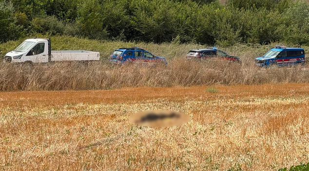 The missing elderly man's lifeless body was found in a wheat field.