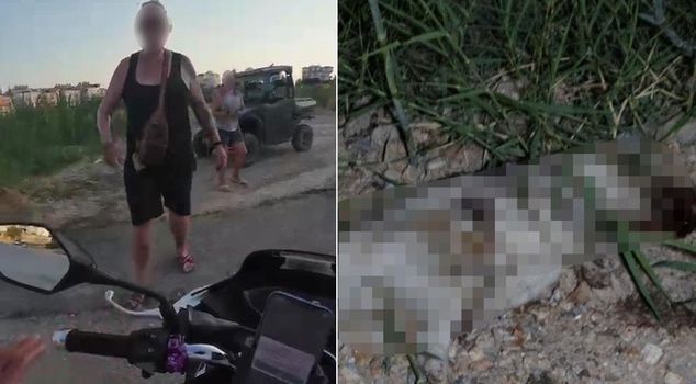 A German citizen first ran over a dog with his car, then killed it by hitting it with a stone.