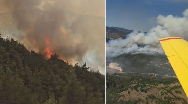 The fire that broke out in the milk truck spread to the forest and is moving toward Kütahya.