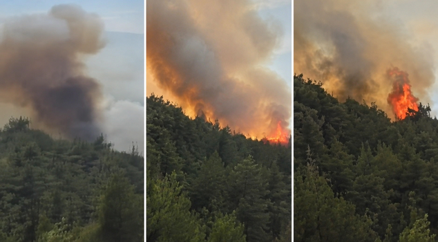Intervention from air and land continues for the Sındırgı fire.