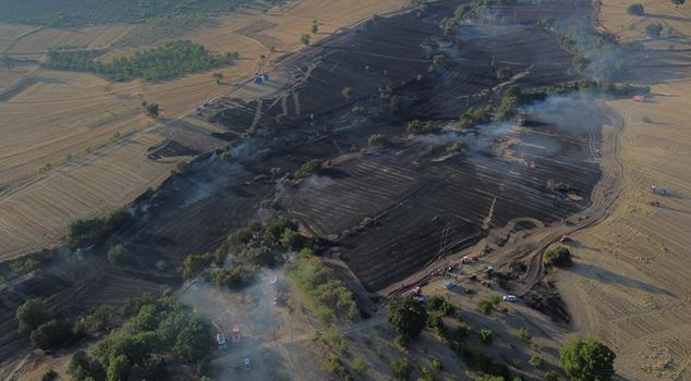 In Bilecik, a bird struck an electric wire, causing a fire in agricultural land.