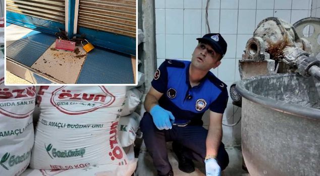 Он должен был прийти к столу! Владелец пекарни, всюду кишащей насекомыми, довёл до бешенства своими словами.