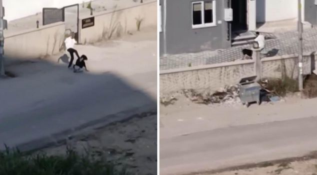 He beat the woman within an inch of her life, and was released.
