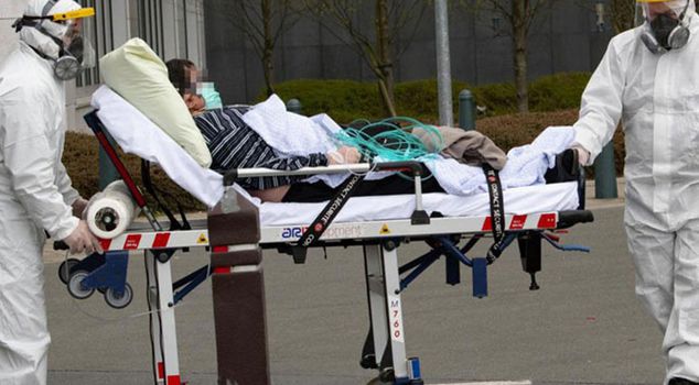 Salmonella alert in Belgium: Hundreds of people hospitalized