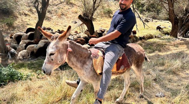 A film-like incident in Ankara: A donkey was treated like a vehicle.