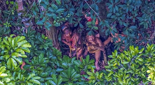 The uncontacted tribe was seen from the air like this.