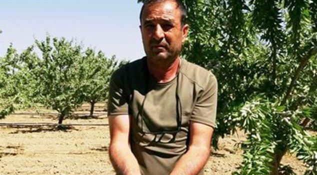 He started out of curiosity 16 years ago in Kayseri! Now he owns 20 thousand trees.