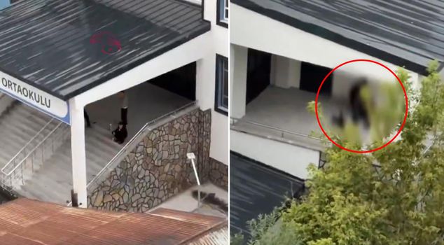 Scandalous scenes right next to the school! They didn't care about anyone.