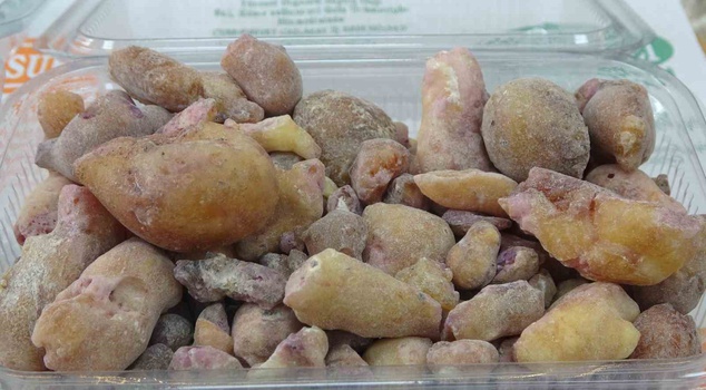 It is collected for free from the forest! A kilo is exactly 10 thousand lira.