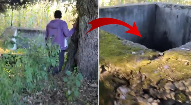 They heard a scream in the forest! When they looked into the pit, they were horrified.