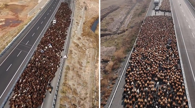 The footage is from Turkey! They closed the two-lane road, and dozens of vehicles waited to pass.
