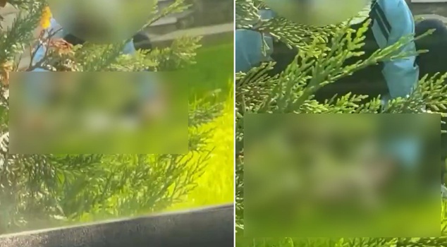 Stomach-churning incident in Şişli! Recorded while cursing