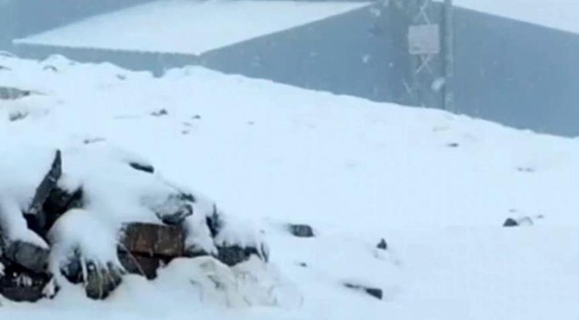 Autumn ended, winter began! The snow reached 20 centimeters.