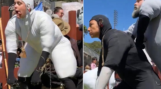 The artists who disguised themselves as sheep surprised everyone.