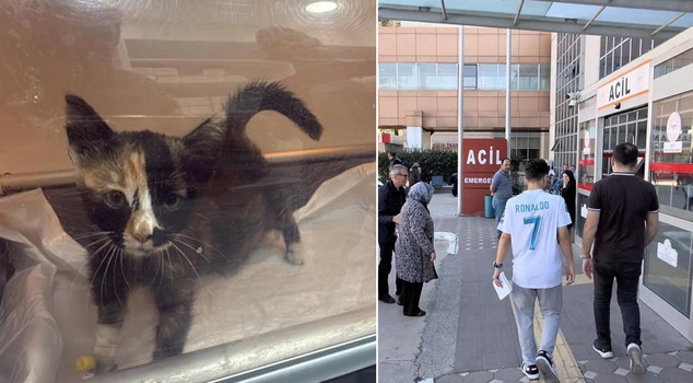 The outbreak in Tokat that sent 5,000 people to the hospital is growing! The frightening cat-dog detail
