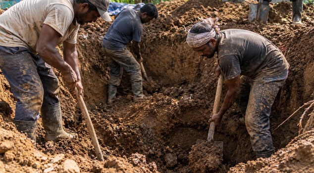 They found a fortune while digging a well in the garden! Exactly 510 kilos