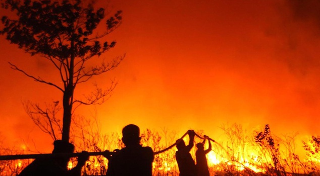 The scale of the disaster is mind-boggling! 1.9 million hectares were affected