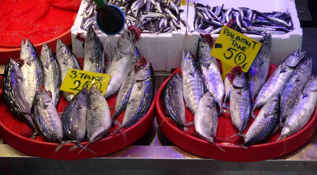 The busiest bonito season in Trabzon in the last 25 years! The price per fish dropped to as low as 40 lira.
