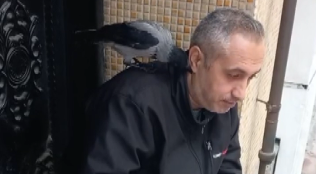 He named the crow that comes in front of the shop in Zeytinburnu 'Rıfkı'! Every morning he waits for it at the door.