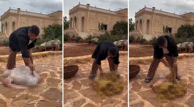 The footage of Midyeci Ahmet cleaning offal caused outrage.