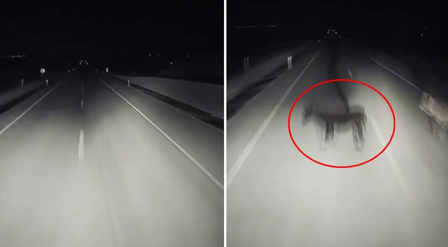 Footage from Turkey! A terrifying incident in the darkness of night