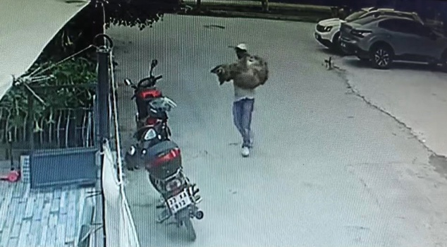 Dog Kanka, who was run over by a car in Silifke, could not be saved! The 3 people who got out of the vehicle left the scene.