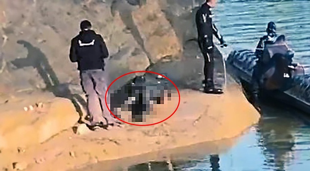 He went fishing and never came back.