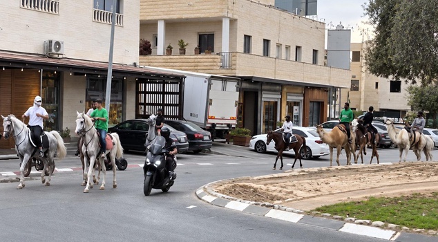 Palestinian citizens of Israel went to the polls with camels, horses and donkeys.