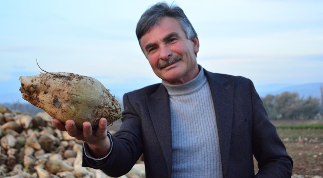 Shocking words from a sugar beet producer to farmers! 