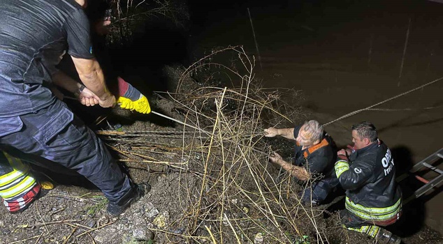 Heavy rain in Ordu increased the river's flow! Firefighters rescued the stranded 62-year-old concrete mixer truck driver.