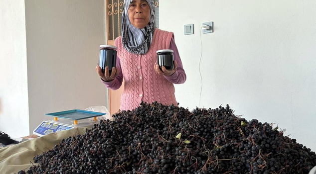 تبيع نجلاء أكدوغان في عثمانية باهتشه نصف كيلوغرام من مربى الأرونيا مقابل 400 ليرة.