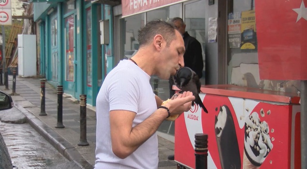 He healed the crow that arrived sick in Ümraniye! For 1.5 years, he has been caring for 'Paşa' like his own child.
