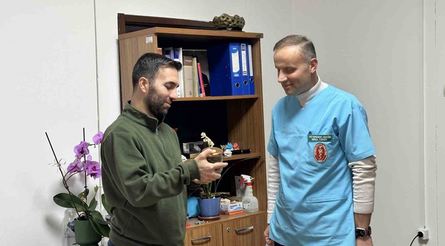 A pear got stuck in a cow's esophagus in Kastamonu! The pregnant animal was saved with a 2-hour surgery in the barn.