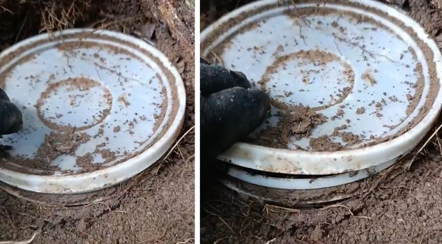 He opened the yogurt container buried in the ground! He couldn't believe what he saw.
