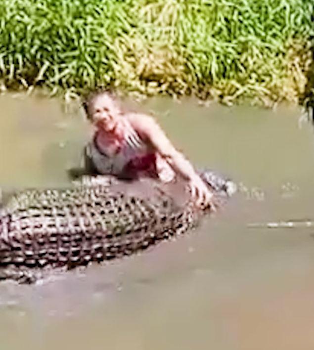 Heykel sandığı gerçek timsahın saldırısına uğrayan turist ağır yaralandı