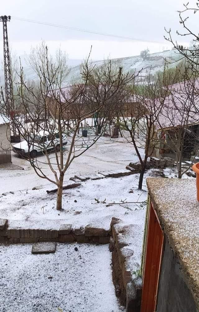Ahlat'ta Mayıs ayında kar yağdı, halk kızaklarını alıp sokağa çıktı