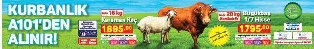 Migros kurbanlık fiyatları! A101, BİM, ŞOK kurbanlık fiyatları!