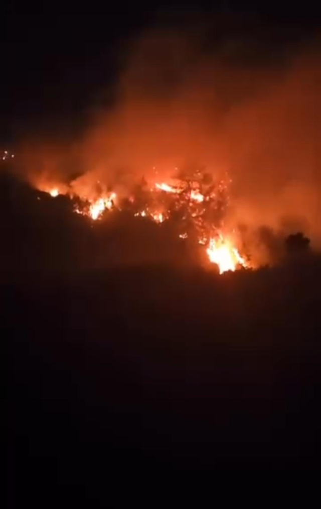 Hatay'da ormanlık alanda yangın çıktı
