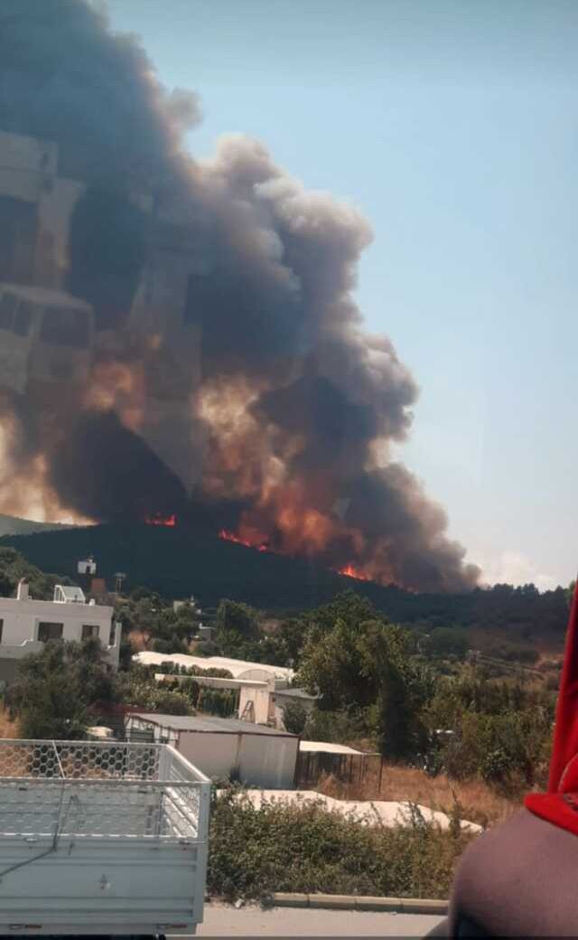 Milas'ta orman yangın! Havadan ve karadan müdahale ediliyor