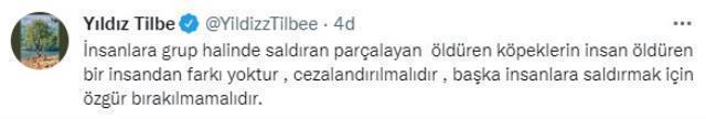 Yıldız Tilbe'nin tepki çeken sokak köpeği çıkışına Datça Belediyesi'nden yanıt: Tatil için bizi tercih etmeyin