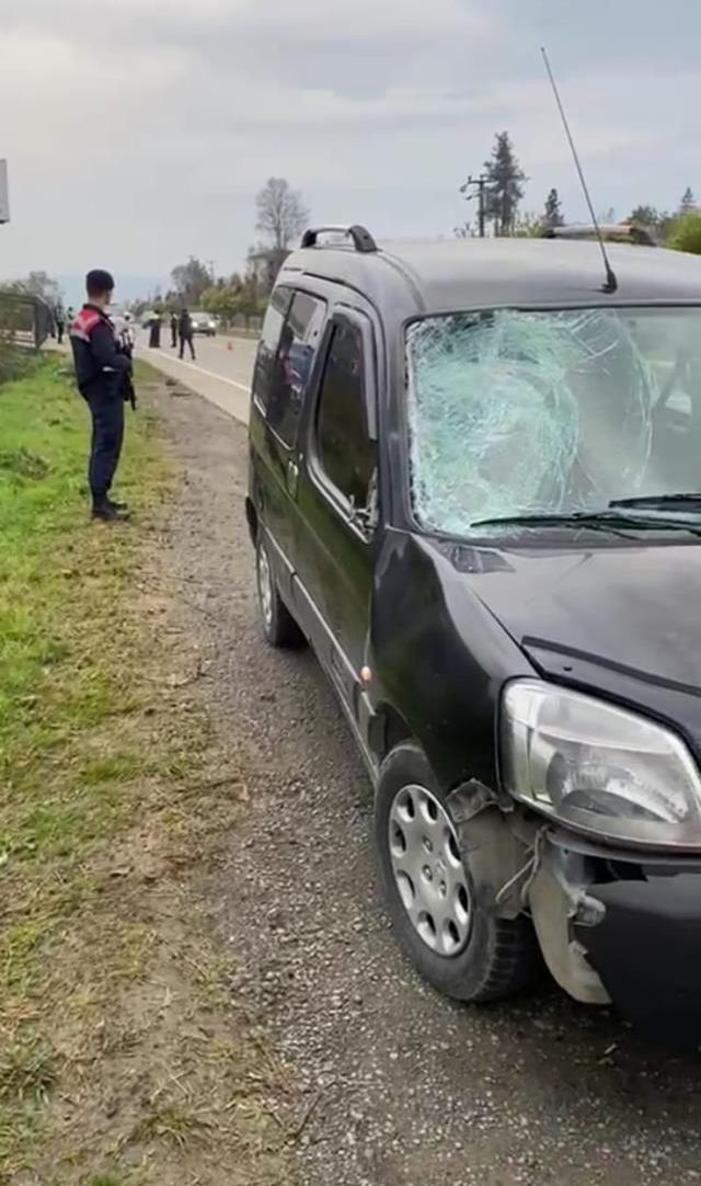 Temizlik işçisi, köpeklerden kaçarken canından oldu