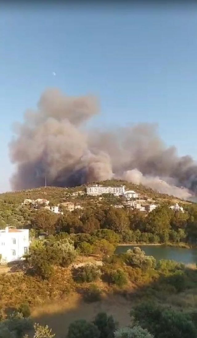 Muğla'nın Datça ilçesinde ormanlık alanda yangın